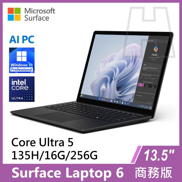 圖片 Surface Laptop 6 13.5" U5-135H/16G/256G/W11P 商務版
